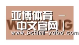 亚博合作伙伴三