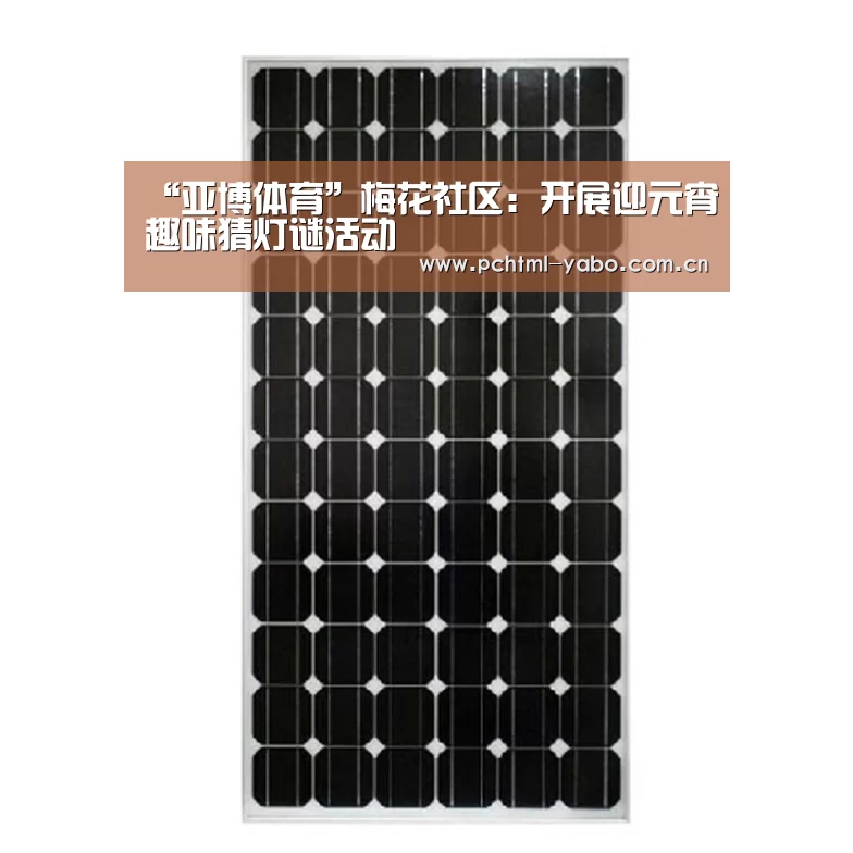 “亚博体育”梅花社区：开展迎元宵趣味猜灯谜活动(图2)