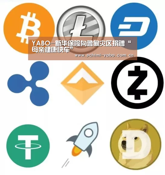 YABO-新华保险向鲁甸灾区捐赠“母亲健康快车”(图1) 亚博