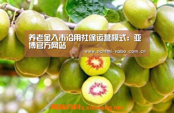 亚博官方网站