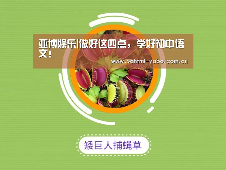 亚博