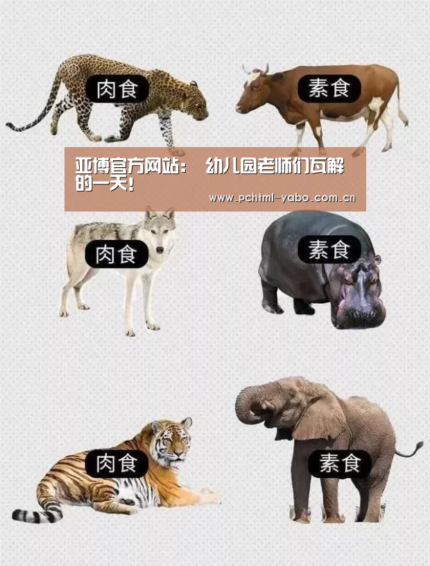亚博官方网站:
幼儿园老师们瓦解的一天!(图3) 亚博官方网站