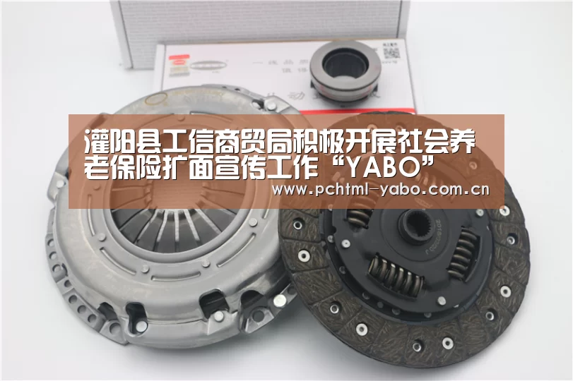 灌阳县工信商贸局积极开展社会养老保险扩面宣传工作“YABO”(图1) 亚博APP